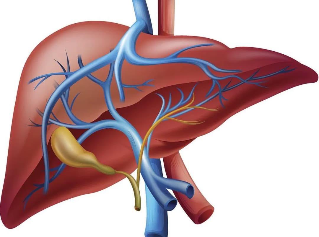 Jaki lekarz leczy naczyniaki wątroby i jak uniknąć powikłań?