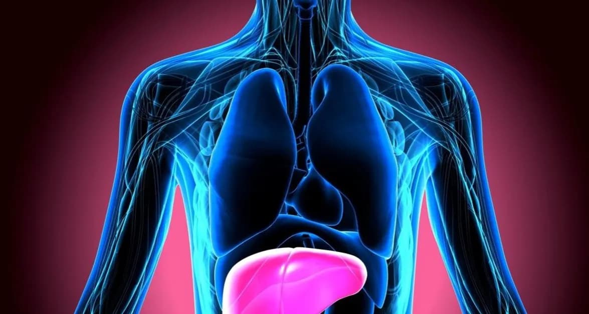 Jakie są objawy bólu wątroby i co mogą oznaczać dla zdrowia