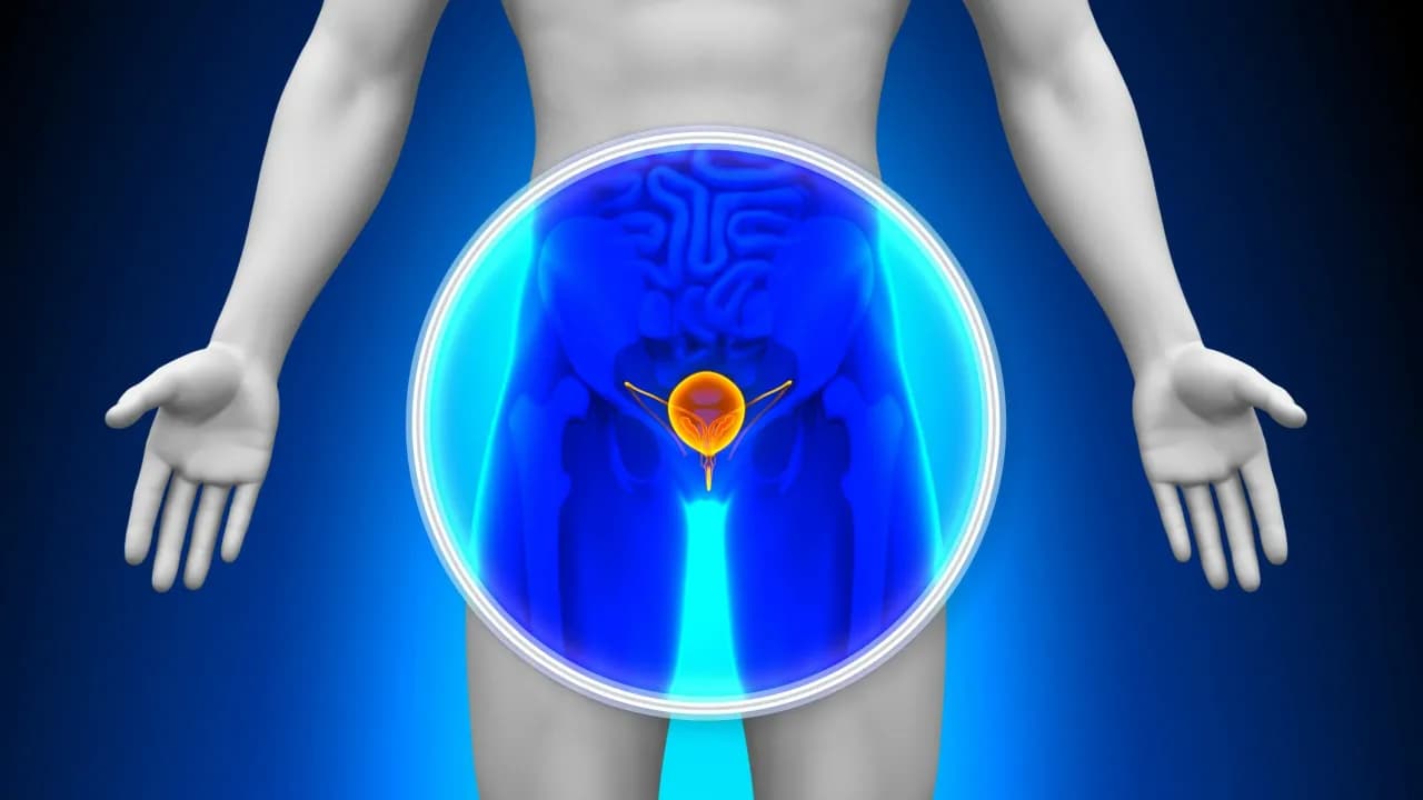 Jak się przygotować do USG prostaty, aby uniknąć problemów?